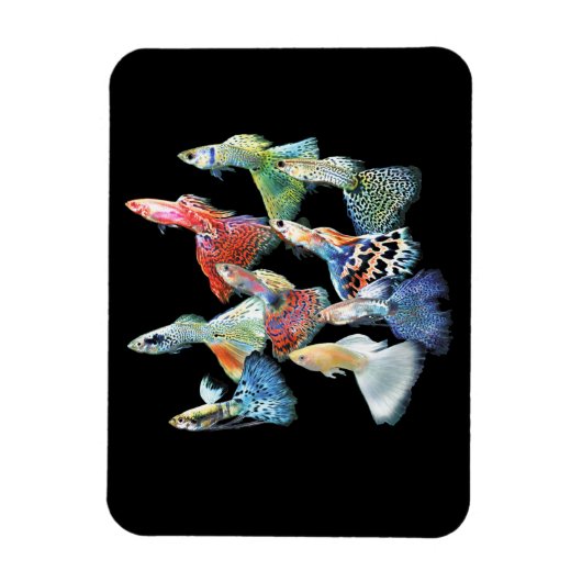 Guppies Magneet (Verticaal)
