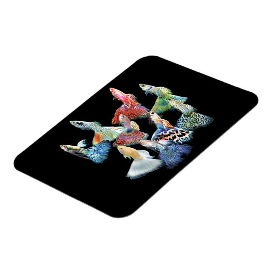 Guppies Magneet (Linkerzijde)