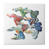 Guppies Tegeltje (Voorkant)