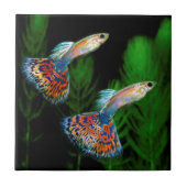 Guppies Tegeltje (Voorkant)