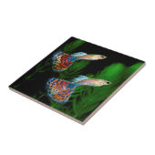 Guppies Tegeltje (Zijkant)