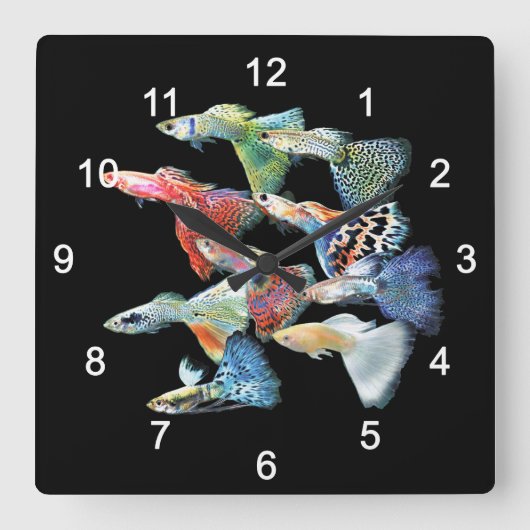 Guppies Vierkante Klok (Voorkant)