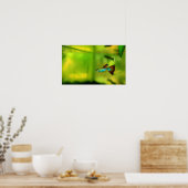 Guppy Fish Poster 1 (Keuken)