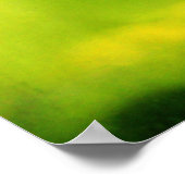 Guppy Fish Poster 1 (Hoek)