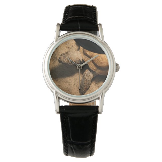 Gus de Schildpad Horloge (Voorkant)