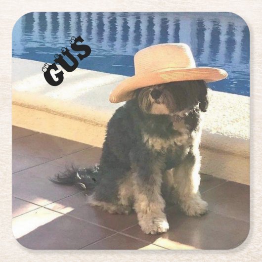 Gus De Tibetaan Kartonnen Onderzetters (Voorkant)