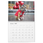 Gus Gus in de stadsplanning 2022 Kalender (Jan 2027)