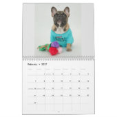 Gus Gus in de stadsplanning 2022 Kalender (Feb 2027)