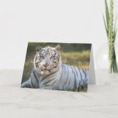 Gus - kaart (Voorkant)