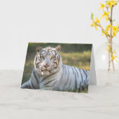 Gus - kaart - aanpasbare groet (Gele Bloem)