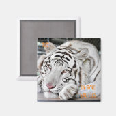 Gus - magneet (Voorkant / Achterkant)