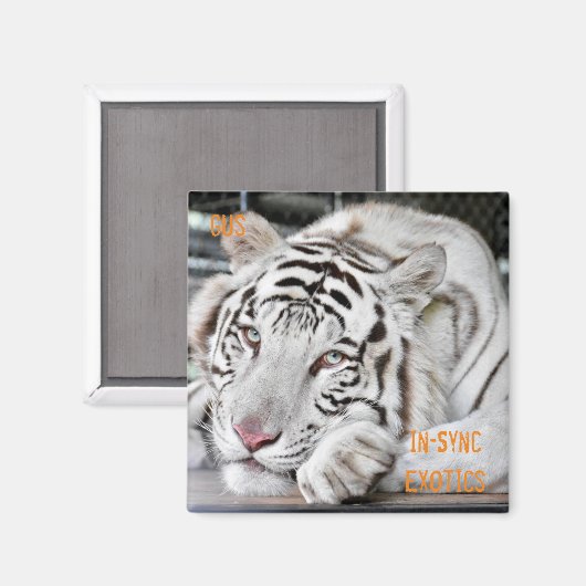 Gus - magneet (Voorkant / Achterkant)