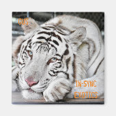 Gus - magneet (Voorkant)