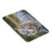 Gus - magneet (Rechterzijde)