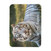 Gus - magneet (Verticaal)