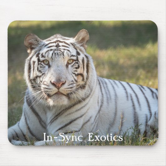 Gus - muismat (Voorkant)