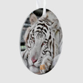 Gus - ornament (voorkant)