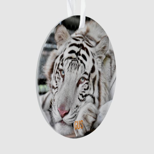 Gus - ornament (voorkant)