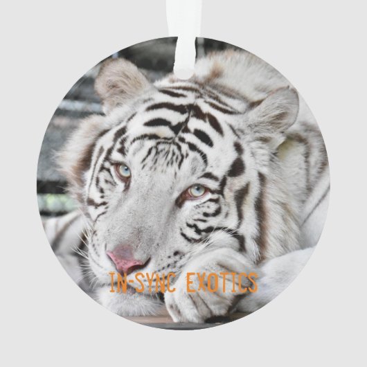 Gus - ornament (achterkant)