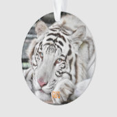 Gus - ornament (voorkant)