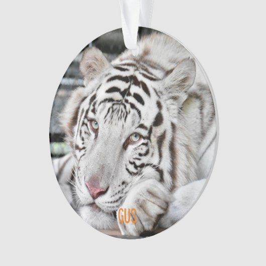 Gus - ornament (voorkant)