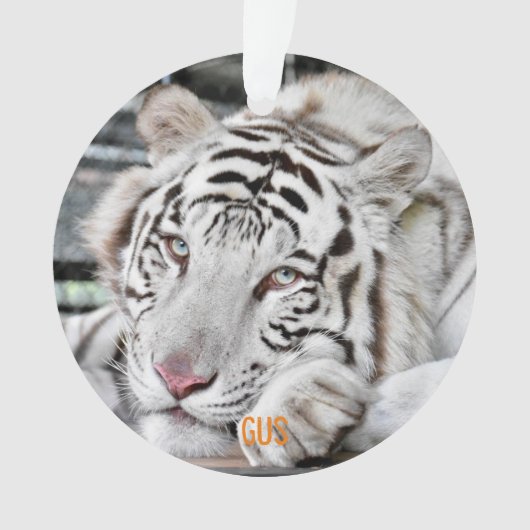 Gus - ornament (voorkant)