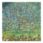 Gustav Klimt - Appelboom Foto Afdruk (Voorkant)