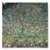 Gustav Klimt Apple Tree Print Foto Afdruk (Voorkant)