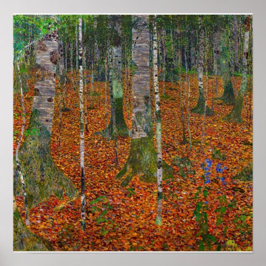 Gustav Klimt - Berkenbos Poster (Voorkant)