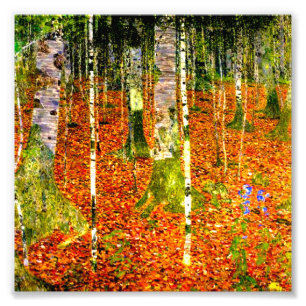 Gustav Klimt Birch Trees Foto Afdruk