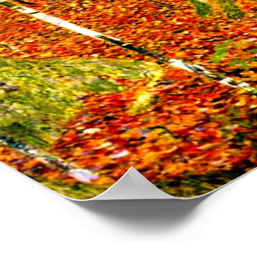 Gustav Klimt Birch Trees Poster (Hoek)