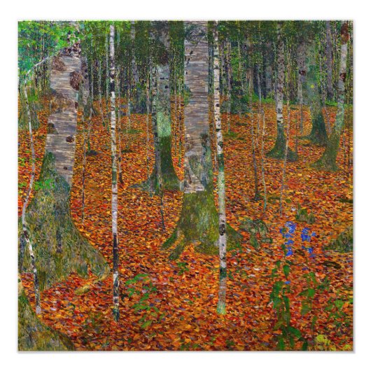 Gustav Klimt - Birch Wood Foto Afdruk (Voorkant)