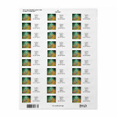 Gustav Klimt Flower Garden Etiket (Full Sheet)