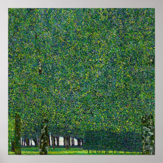Gustav Klimt - Het Park Poster (Voorkant)