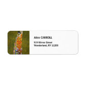 Gustav Klimt - Hoop II Etiket (Voorkant)