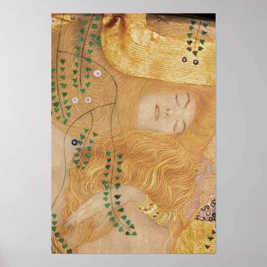 Gustav Klimt | Nadere gegevens over de watervoorra Poster (Voorkant)