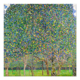 Gustav Klimt - Peerboom Foto Afdruk