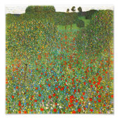 Gustav Klimt Poppy Field Foto Afdruk (Voorkant)