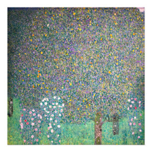 Gustav Klimt - Rozenstruiken onder de bomen Foto Afdruk