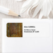 Gustav Klimt - Tannenwald Pine Forest Etiket (Insitu)