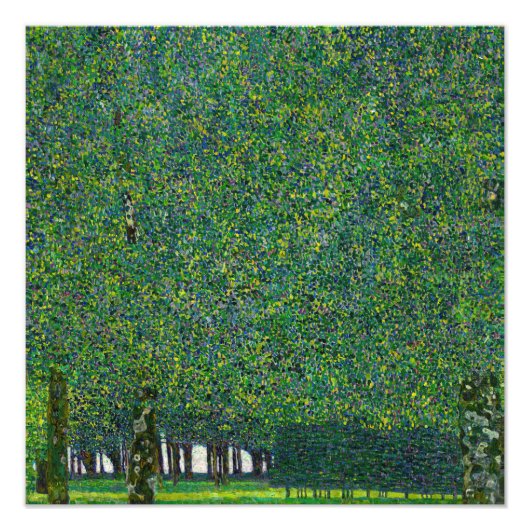 Gustav Klimt - The Park Foto Afdruk (Voorkant)