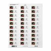 Gustav Klimt Tuxedo Cat Etiket (Full Sheet)