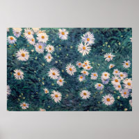 Gustave Caillebotte - Bloembed van Madeliefjes, De