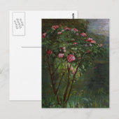 Gustave Caillebotte - Roos Struik in Bloem Briefkaart (Voorkant / Achterkant)