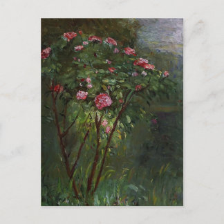 Gustave Caillebotte - Roos Struik in Bloem Briefkaart