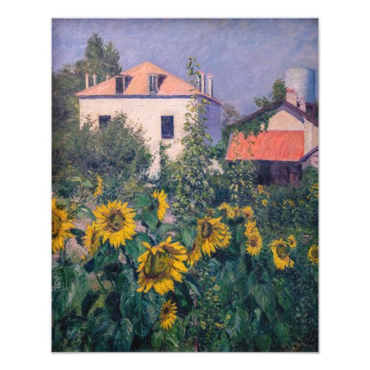 Gustave Caillebotte - Zonnebloemen, Tuin Foto Afdruk (Voorkant)
