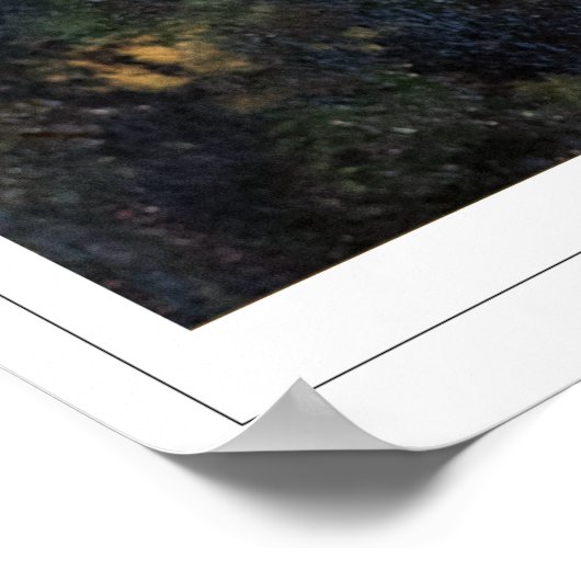 Gustave Courbet Schone Kunsten #1269 Poster (Hoek)