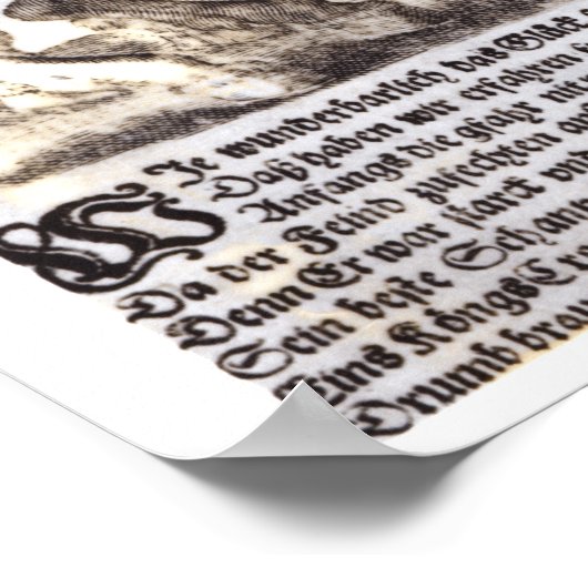 Gustavus Adolphus II en Gustavus Adolphus IV Poster (Hoek)