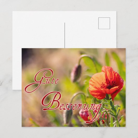 Gute Besserung für Deine lieben Menschen! Briefkaart (Voorkant / Achterkant)