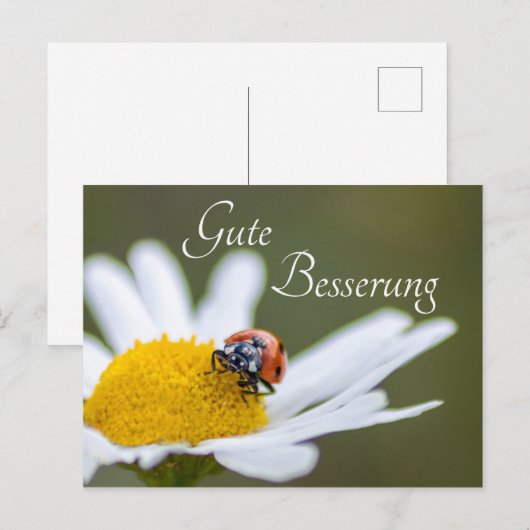 Gute Besserung mit Glücks-Marienkäfer Briefkaart (Voorkant / Achterkant)